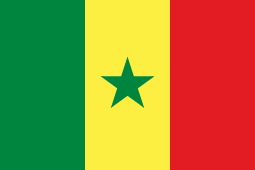 SN Flag